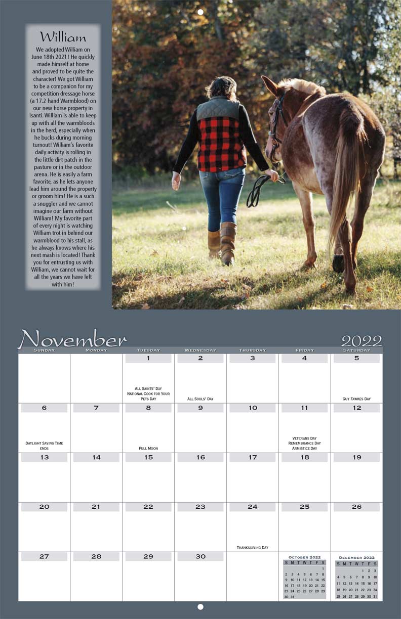 Save the Brays Donkey Rescue 2022 Calendar Fundraising