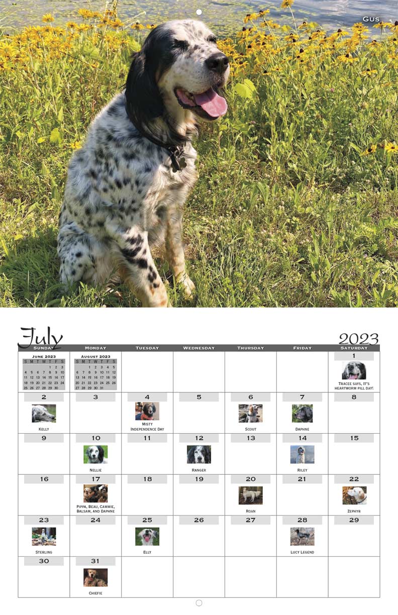 Southwest English Setter Rescue 2023 Calendar Fundraising