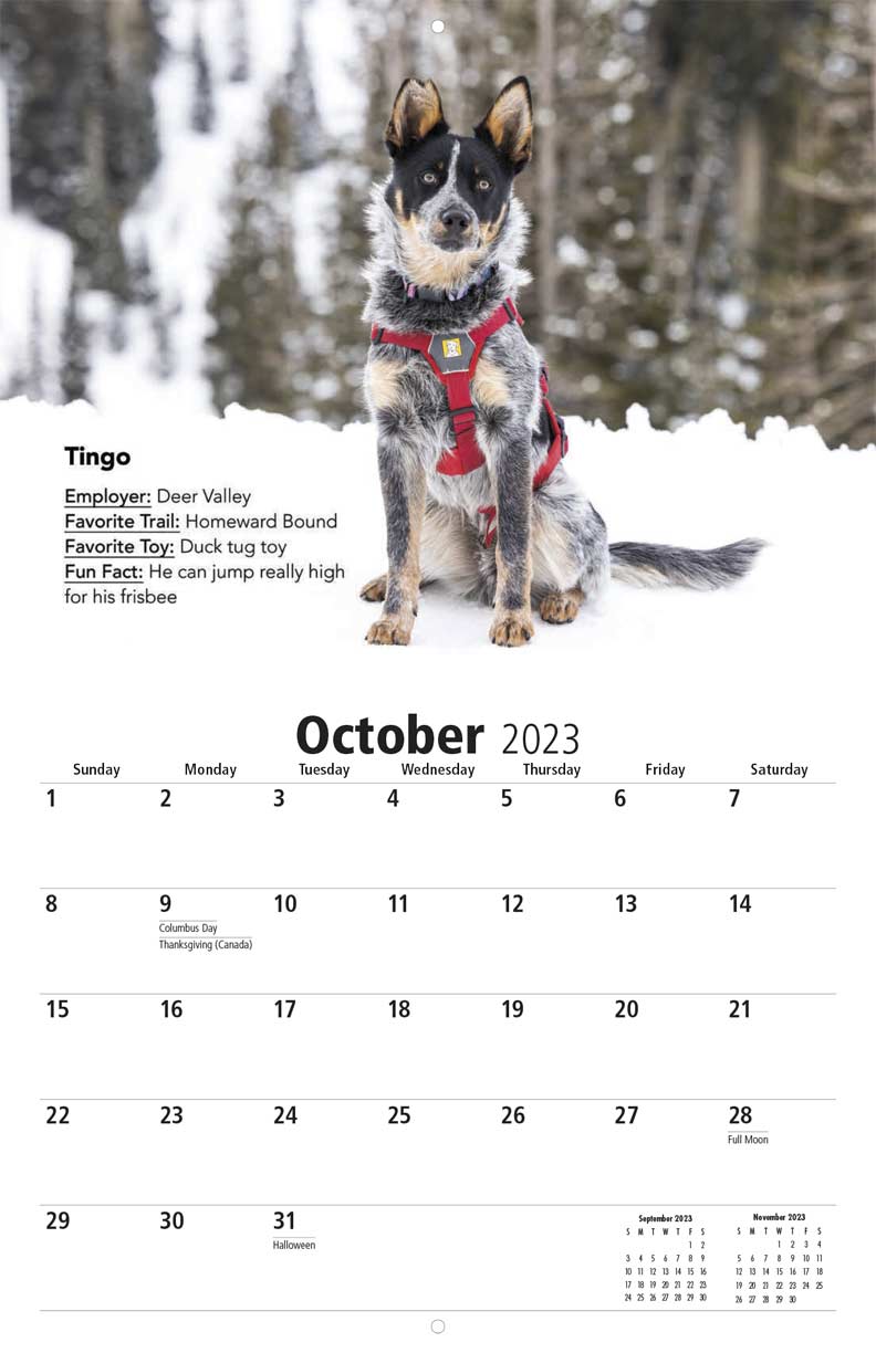 Wasatch Backcountry Rescue 2023 Calendar Fundraising