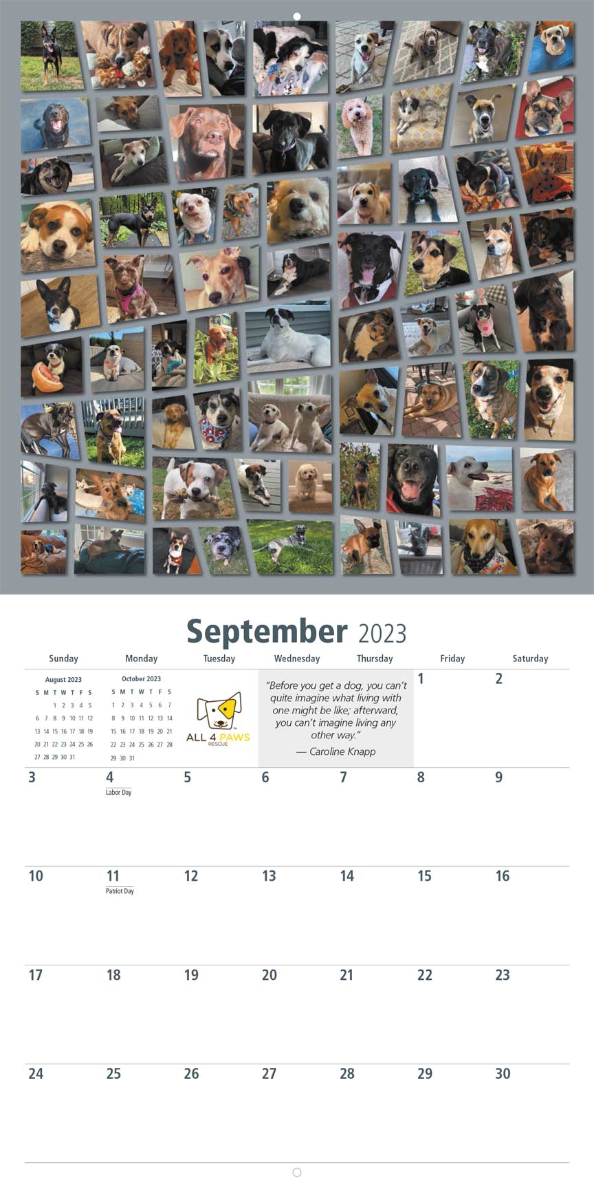 All 4 Paws Rescue 2023 Calendar Fundraising