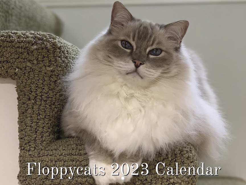 https://www.yearbox.com/wp-content/uploads/2022/10/floppycat-2023-calendar-cover.jpg