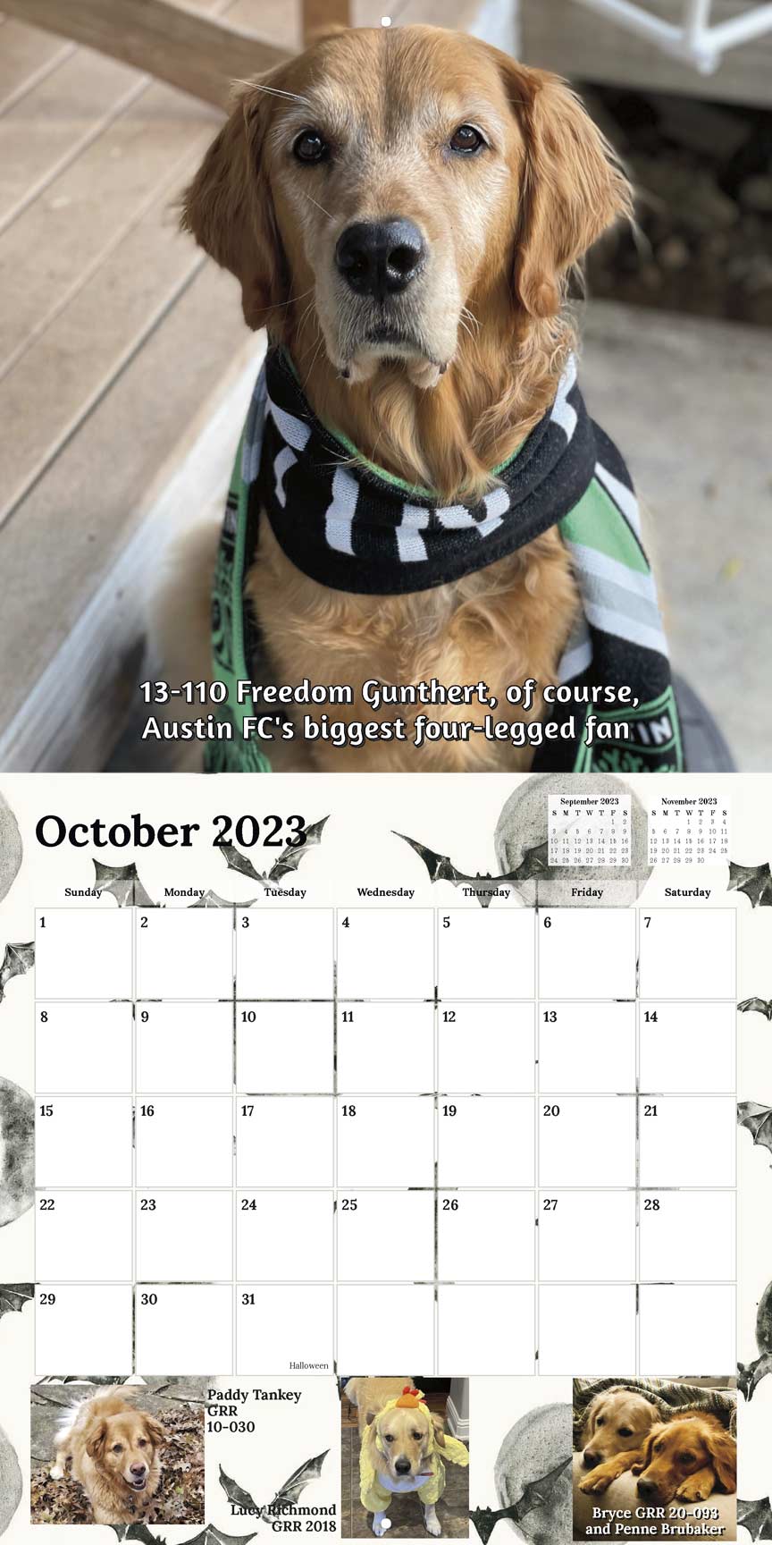 Gold Ribbon Rescue 2023 Calendar Fundraising