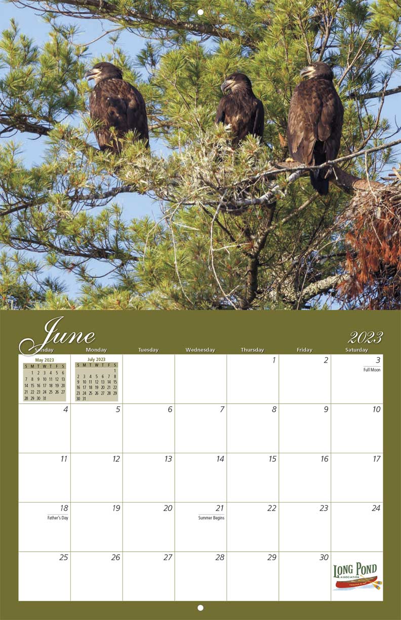 Long Pond Association 2023 Calendar