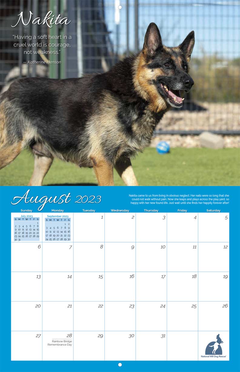 National Mill Dog Rescue 2023 Calendar Fundraising