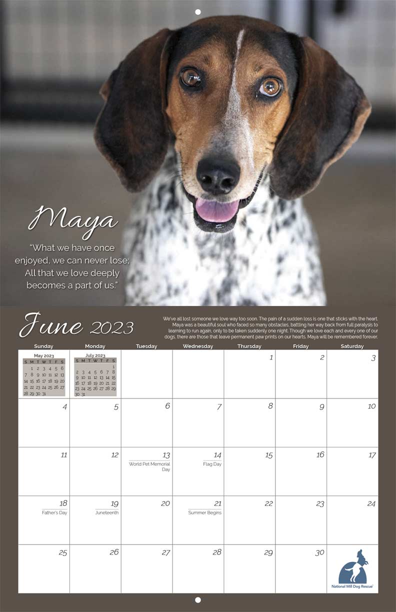 National Mill Dog Rescue 2023 Calendar Fundraising