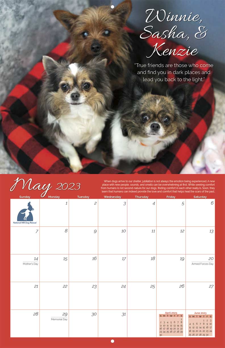 National Mill Dog Rescue 2023 Calendar Fundraising