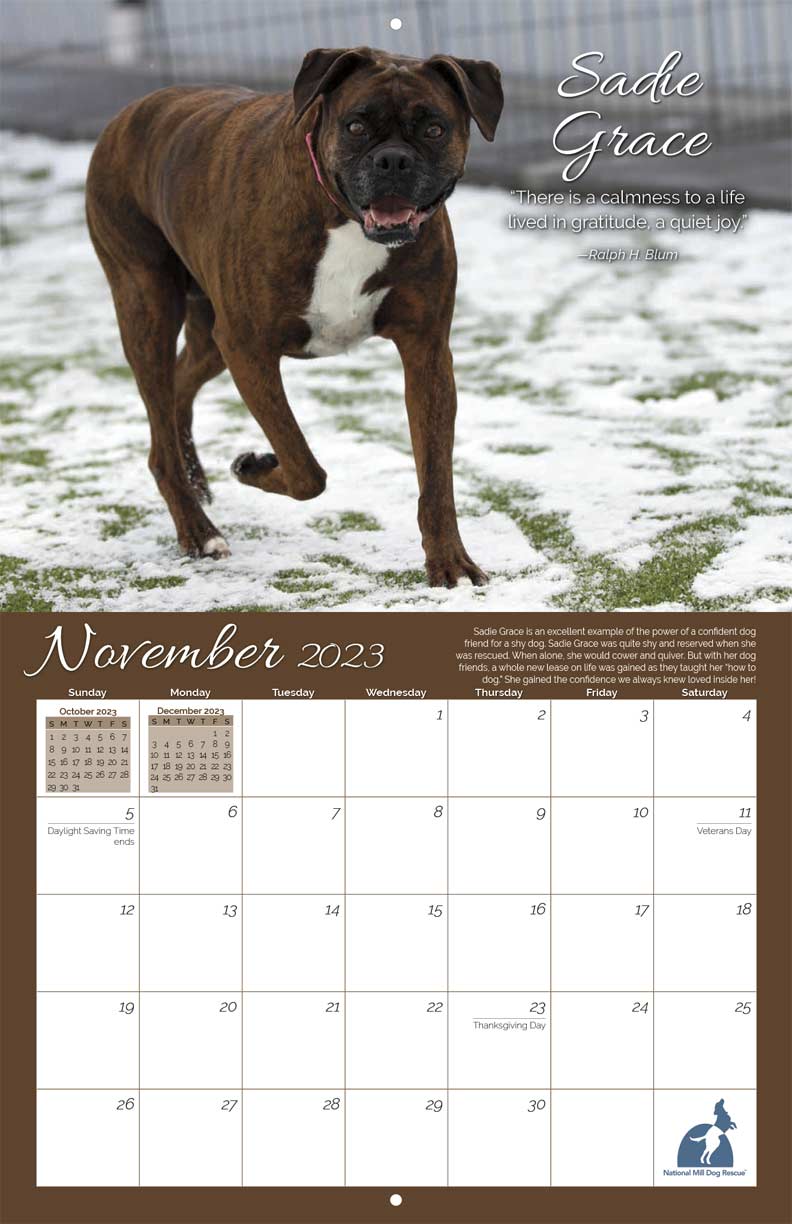 National Mill Dog Rescue 2023 Calendar Fundraising