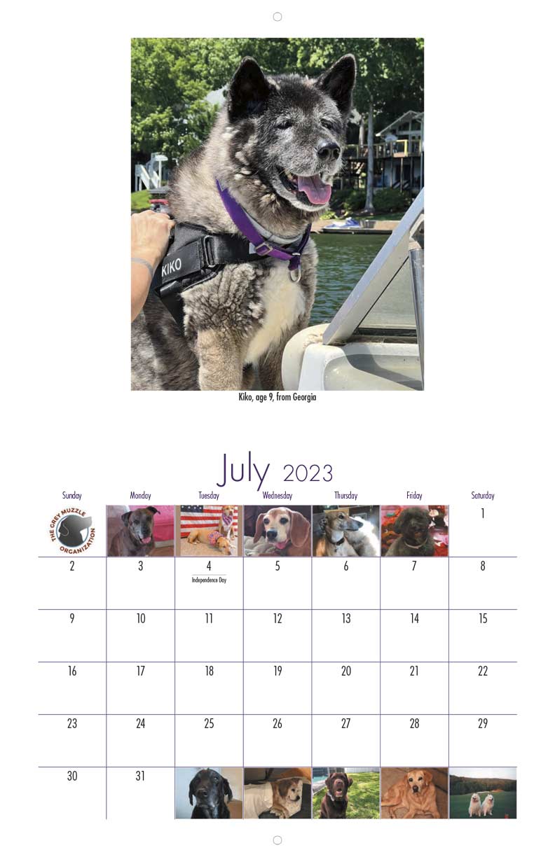 Cane Corso 2023 Calendar: 16 Month Calendar from January 2023 to April 2024  with size 8.5 x 8.5 Inch for all to fans: Smith, Arian: : Books