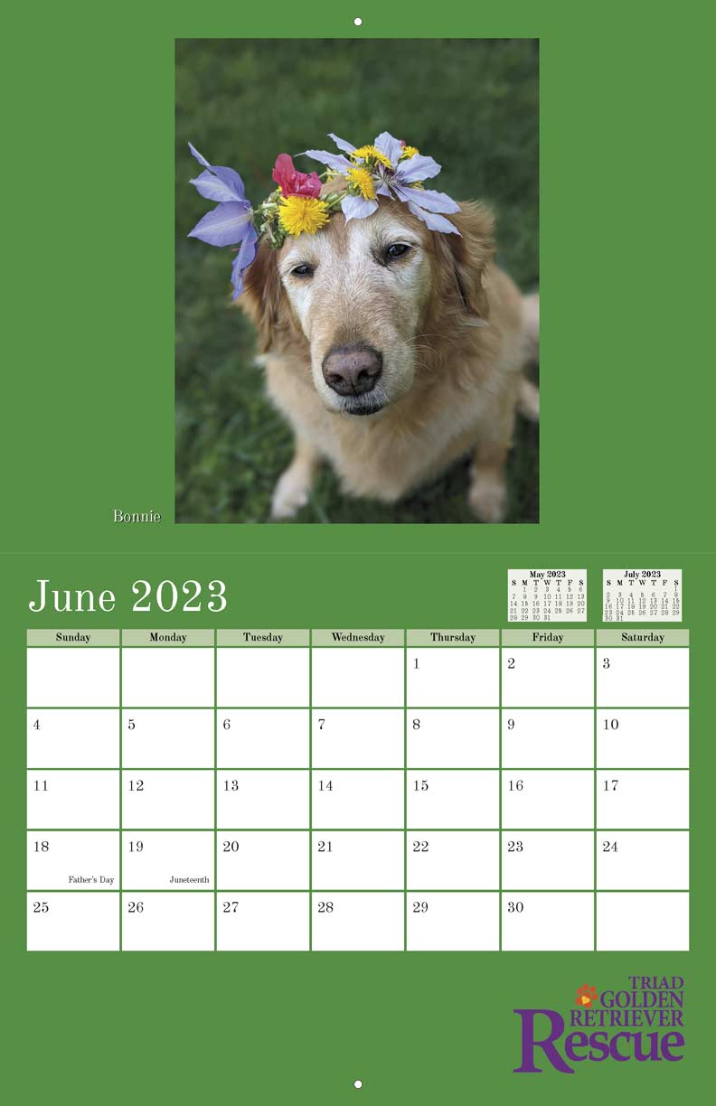Triad Golden Retriever Rescue 2023 Calendar Fundraising