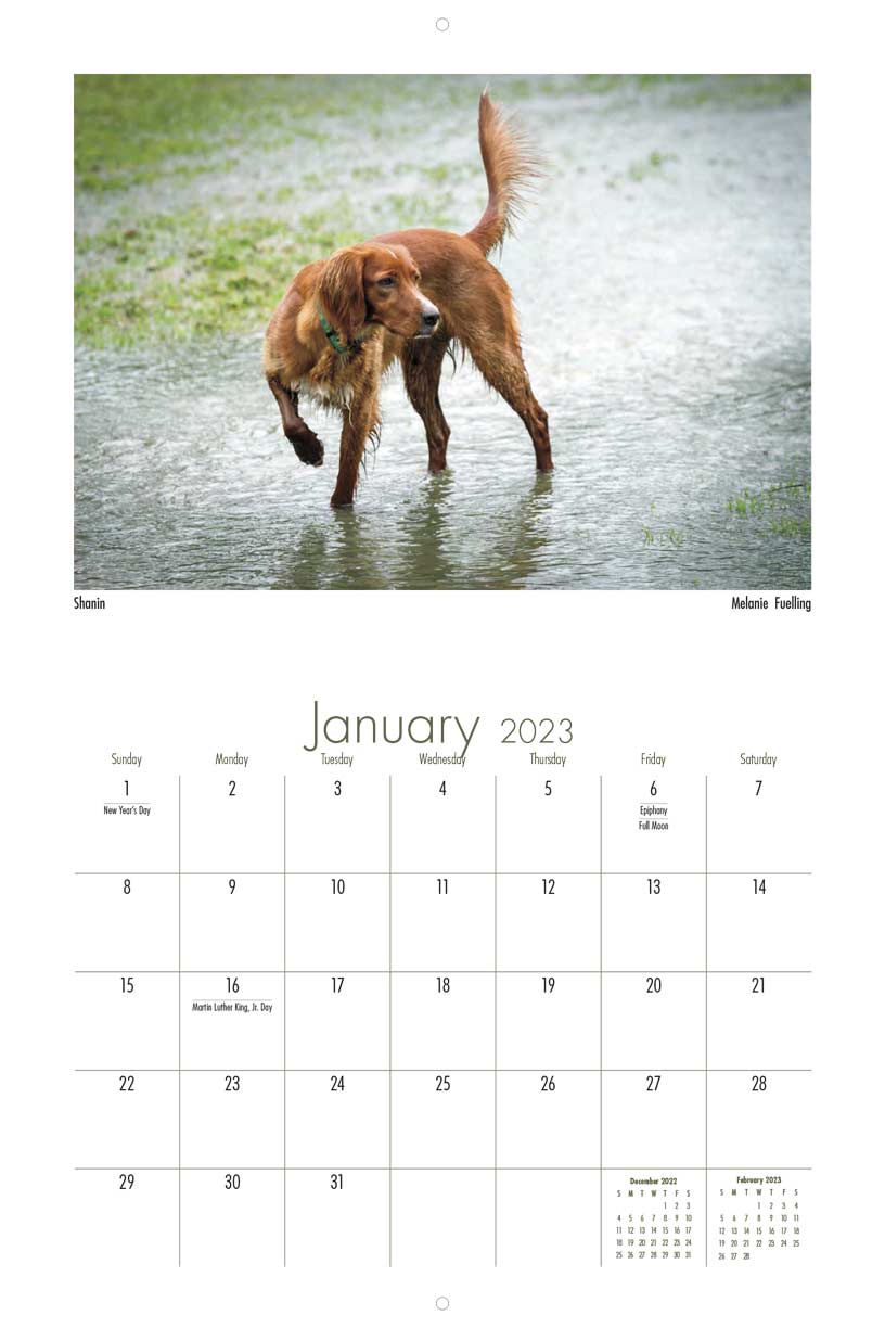 Irish Setter Lovers 2023 Calendar Fundraising