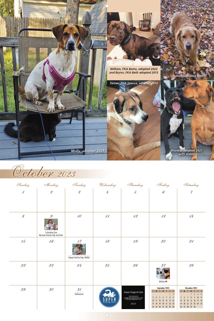 Lucky Pup Rescue 2023 Calendar Fundraising