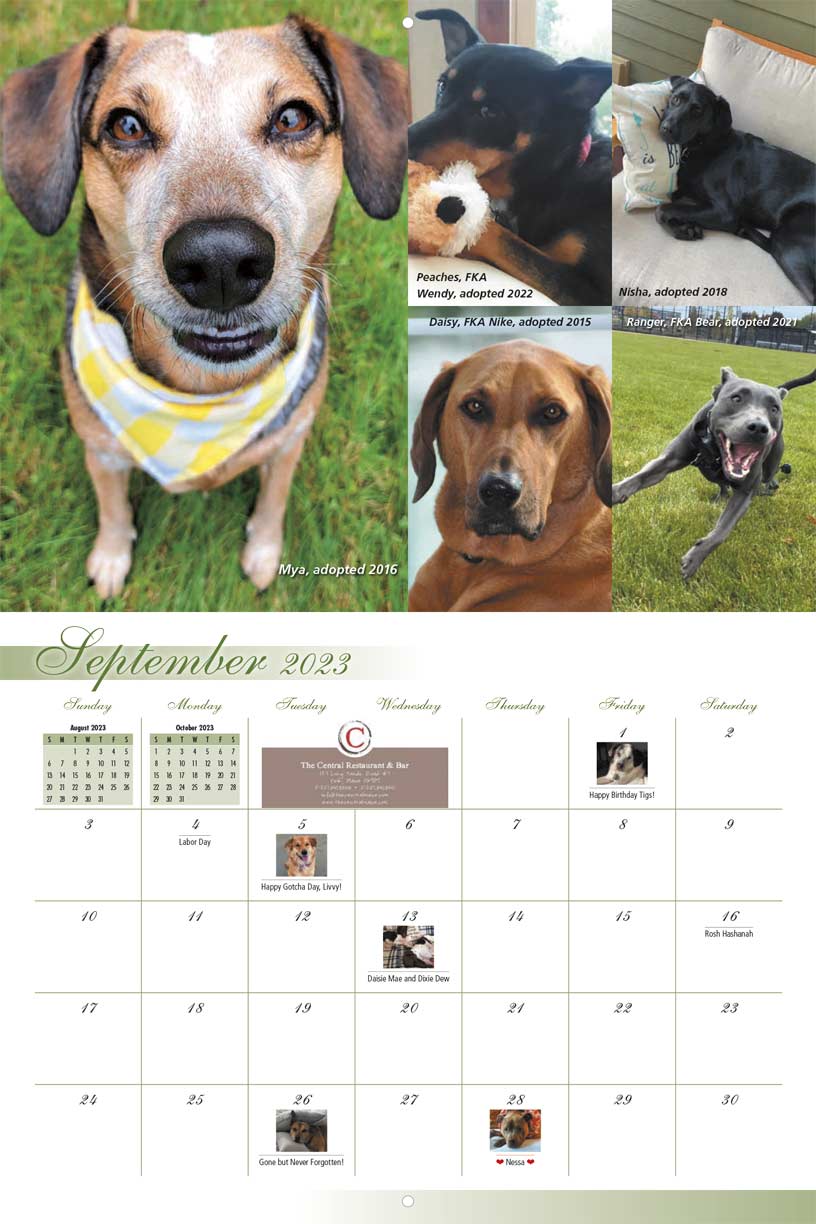 Lucky Pup Rescue 2023 Calendar Fundraising