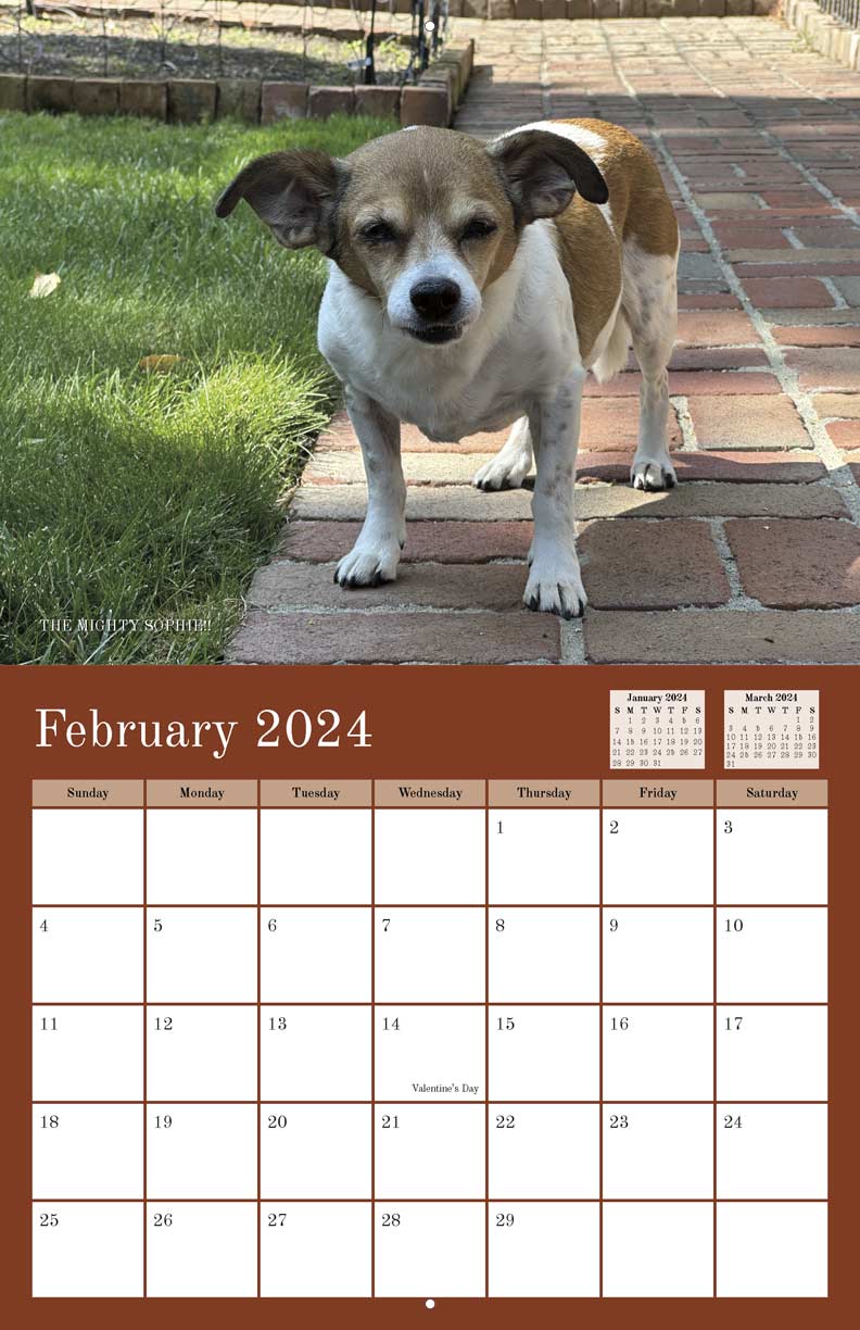 Brewster and His Sisters 2024 Calendar Yearbox Calendars