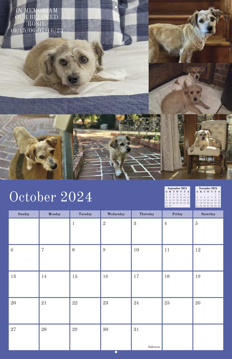 Brewster and His Sisters 2024 Calendar Yearbox Calendars