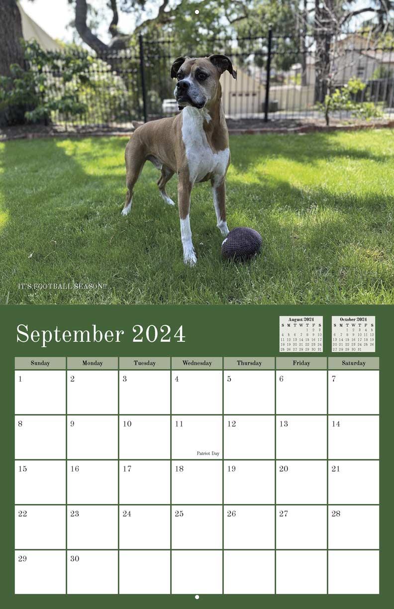 Brewster and His Sisters 2024 Calendar Yearbox Calendars