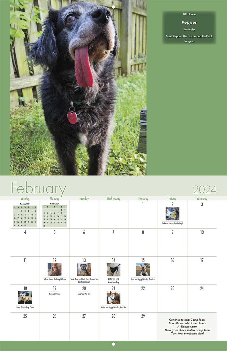 Camp Jean 2024 Calendar - Yearbox Calendars