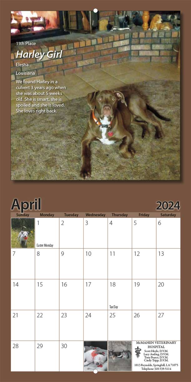 LaMa Animal Rescue 2024 Calendar Yearbox Calendars