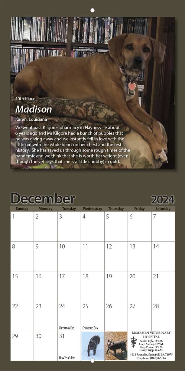 LaMa Animal Rescue 2024 Calendar Yearbox Calendars