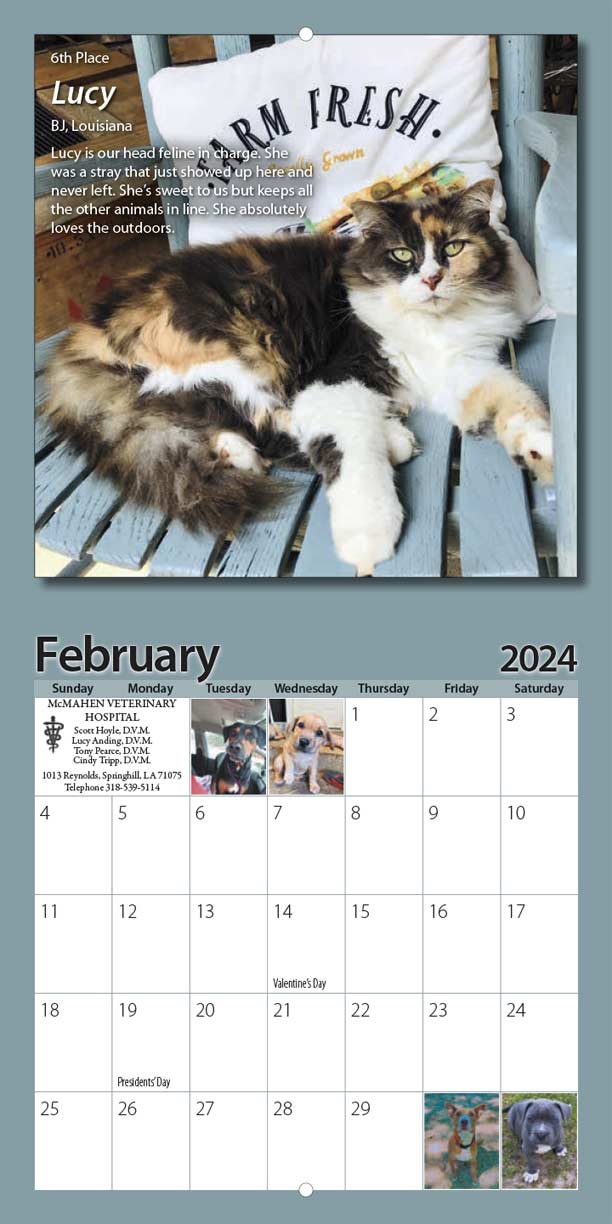 LaMa Animal Rescue 2024 Calendar Yearbox Calendars