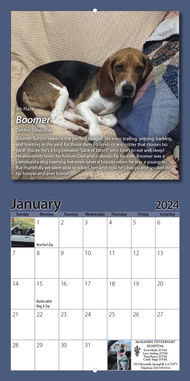 LaMa Animal Rescue 2024 Calendar Yearbox Calendars