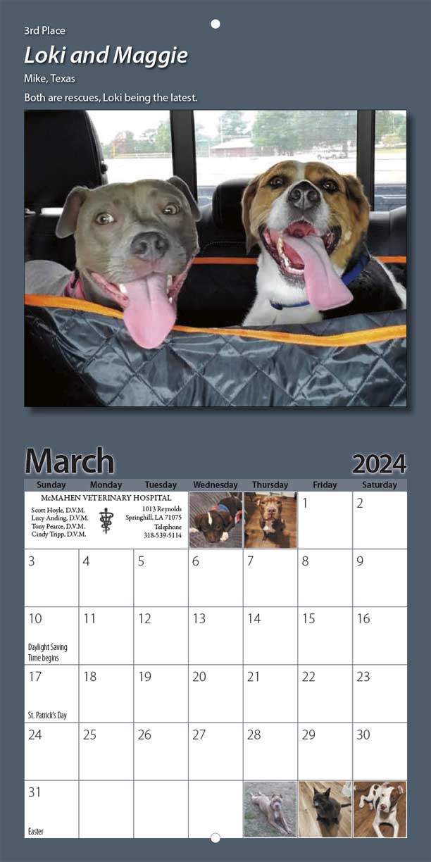 LaMa Animal Rescue 2024 Calendar Yearbox Calendars