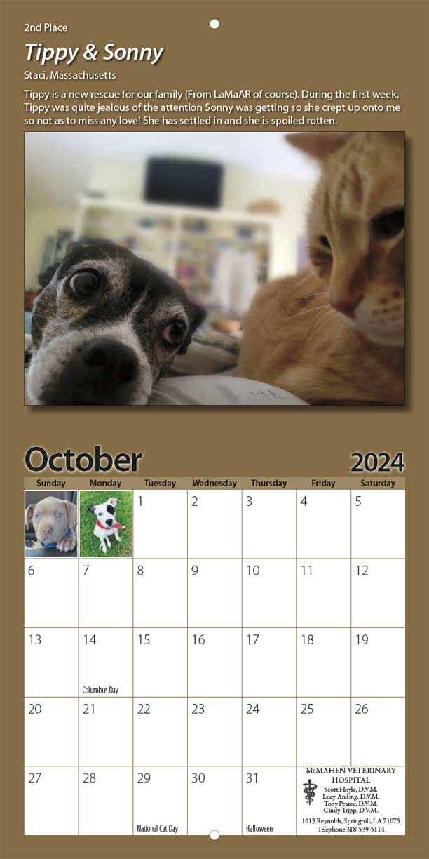 LaMa Animal Rescue 2024 Calendar Yearbox Calendars