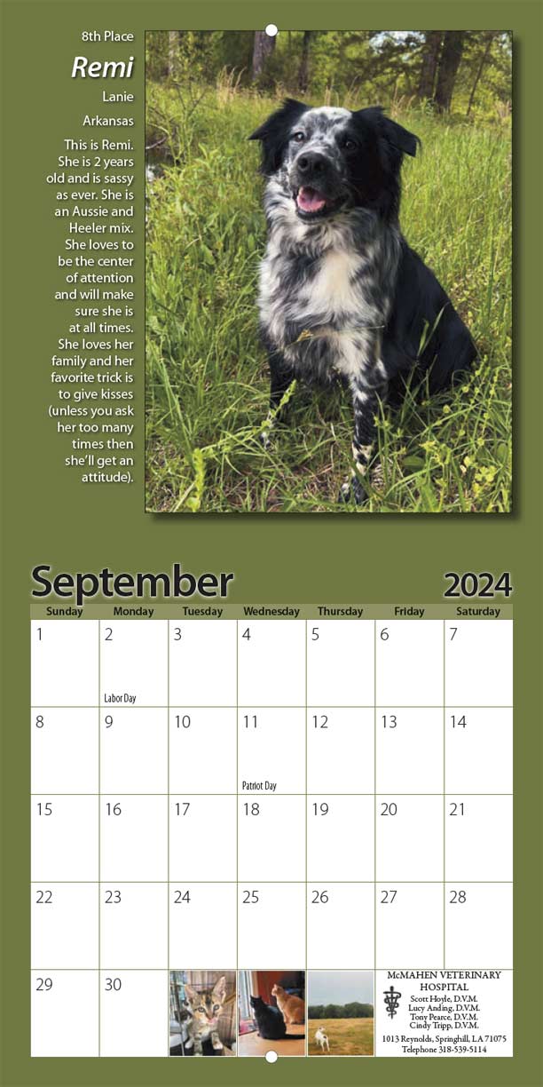 LaMa Animal Rescue 2024 Calendar Yearbox Calendars