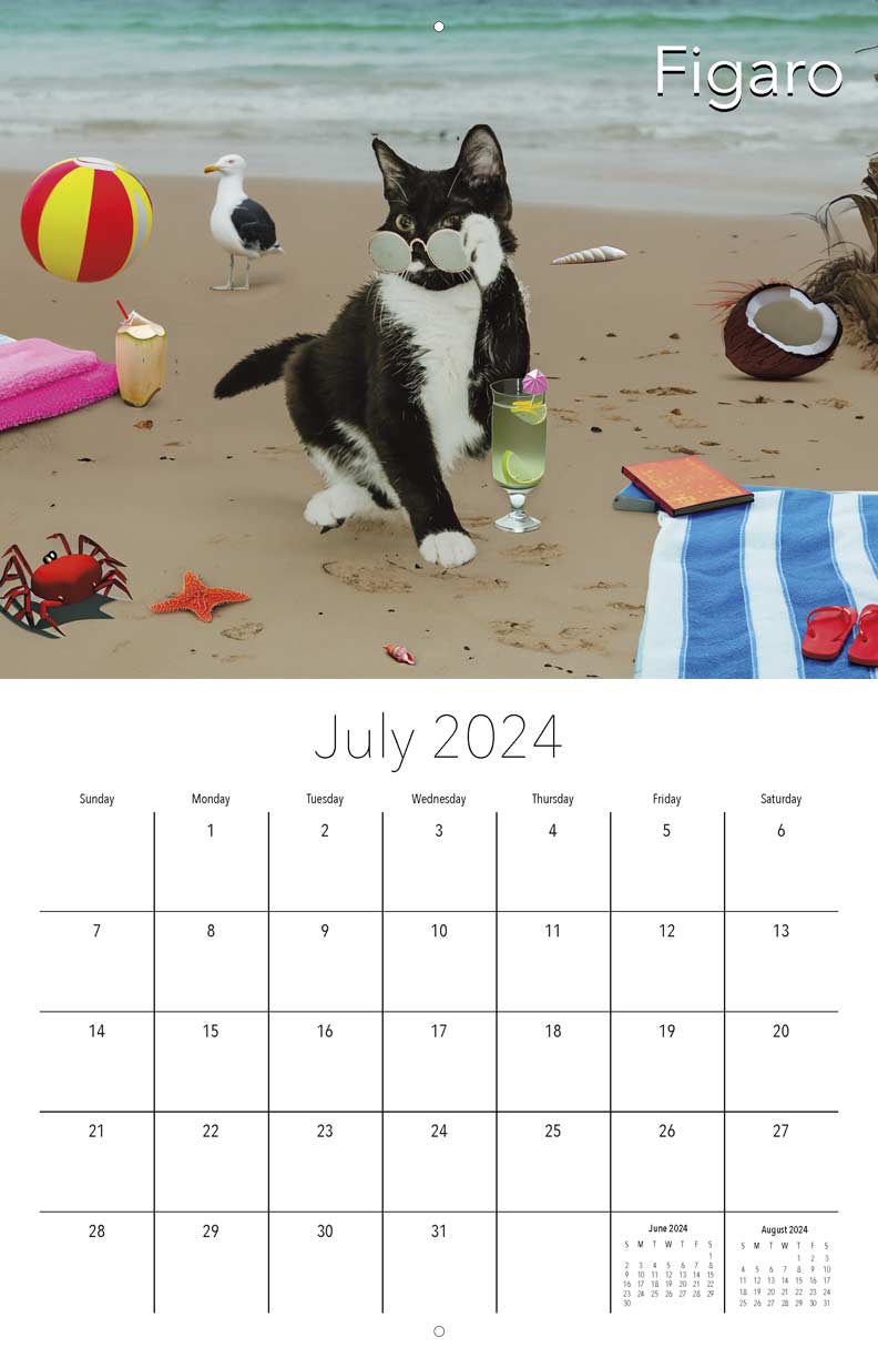 Miss Dixie's Kitten Rescue 2024 Calendar - Yearbox Calendars