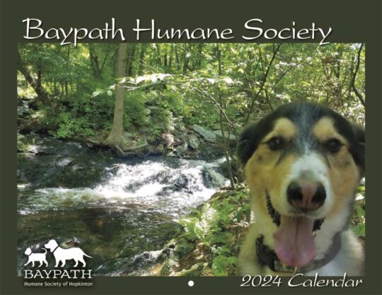 Baypath Humane Society 2024 Calendar Cover