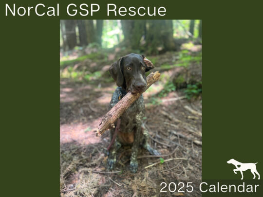 NorCal GSP 2025 Calendar Cover