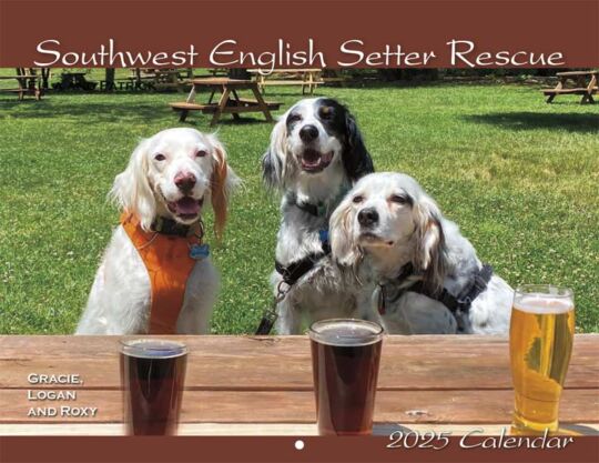 English Setter Rescue 2025 Calendar Cover