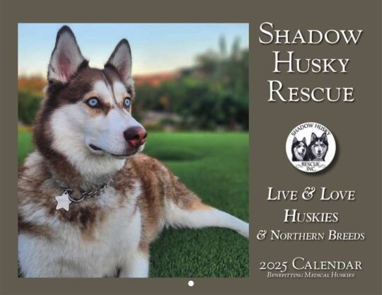 Shadow Husky Rescue 2025 Calendar Cover