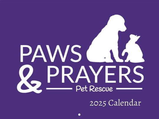 Paws And Prayers Pet Rescue 2025 Calendar Cover