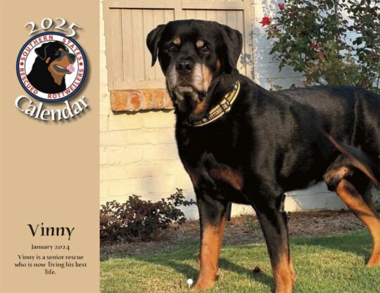 Southern States Rescued Rottweillers 2025 Calendar Cover