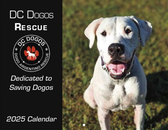 DC Dogos Rescue 2025 Calendar Cover