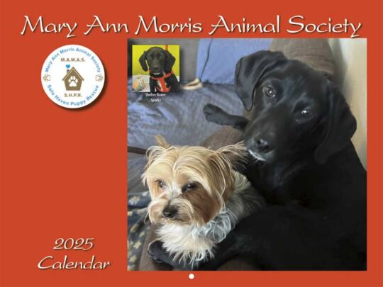 MAMAS Shelter Dog Rescue 2025 Calendar Cover