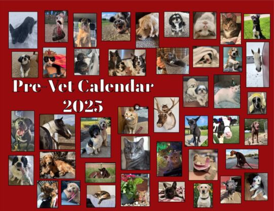 Pre Vet Calendar 2025 Cover