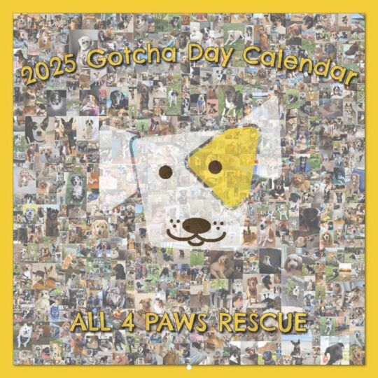 All 4 Paws Rescue 2025 Calendar Cover