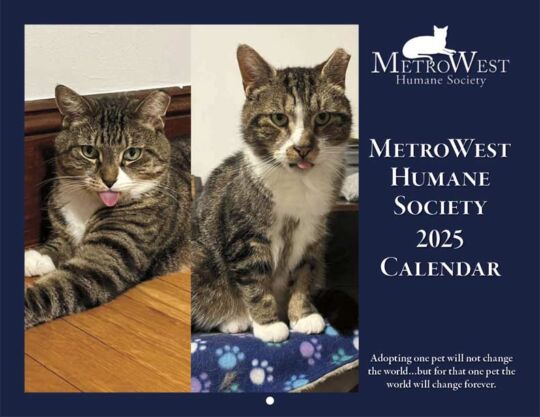 Metrowest Humane Society 2025 Calendar Cover