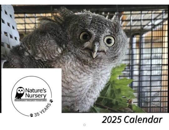 Natures Nursery 2025 Calendar Cover