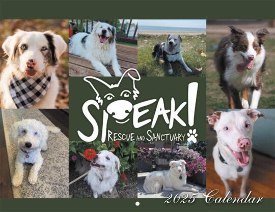 Speak Rescue Sanctuary 2025 Calendar Cover