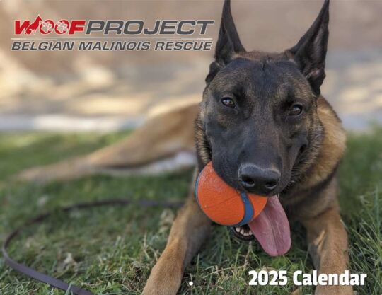 Woof Project Malinois Rescue 2025 Calendar Cover