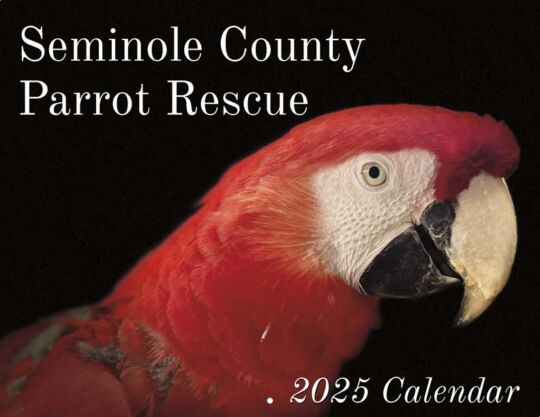 Parrot Rescue And Sanctuary 2025 Calendar Cover